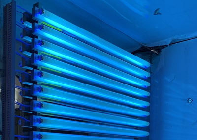 如何通過(guò)UV紫外光照實(shí)驗(yàn)箱構(gòu)建動(dòng)物皮膚光老化模型？